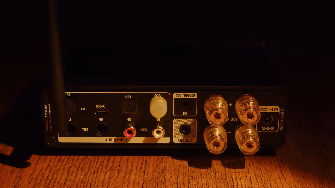 Rear panel with TRS, USB-C, optical, coaxial and RCA inputs, AUX out, 12V trigger and speaker posts