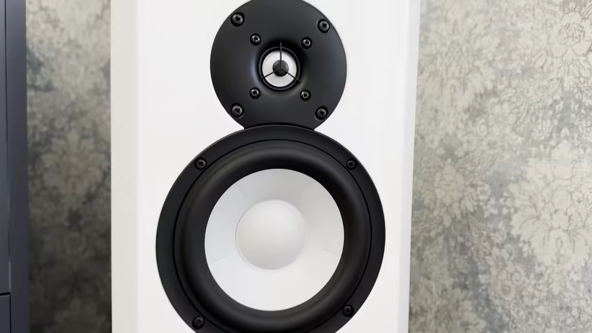 The Chors 5's bare front baffle: the ceramic-coated dome tweeter with its central phase plug above a ceramic woofer with a white textured cone