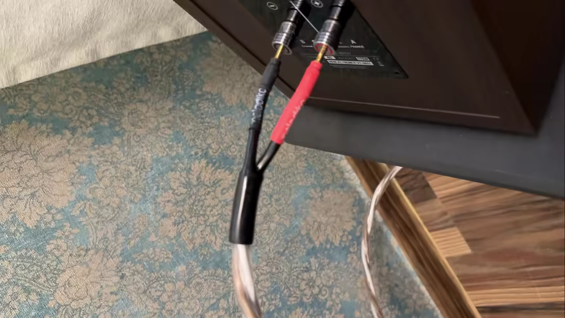 The BSSC4500's red and black banana plugs connected into a speaker's binding posts