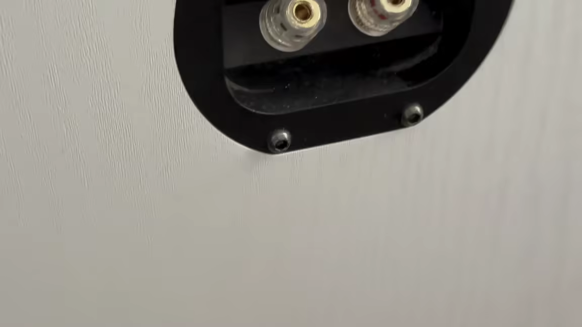 The TAV-607F's recessed rear terminal plate with its pair of gold binding posts