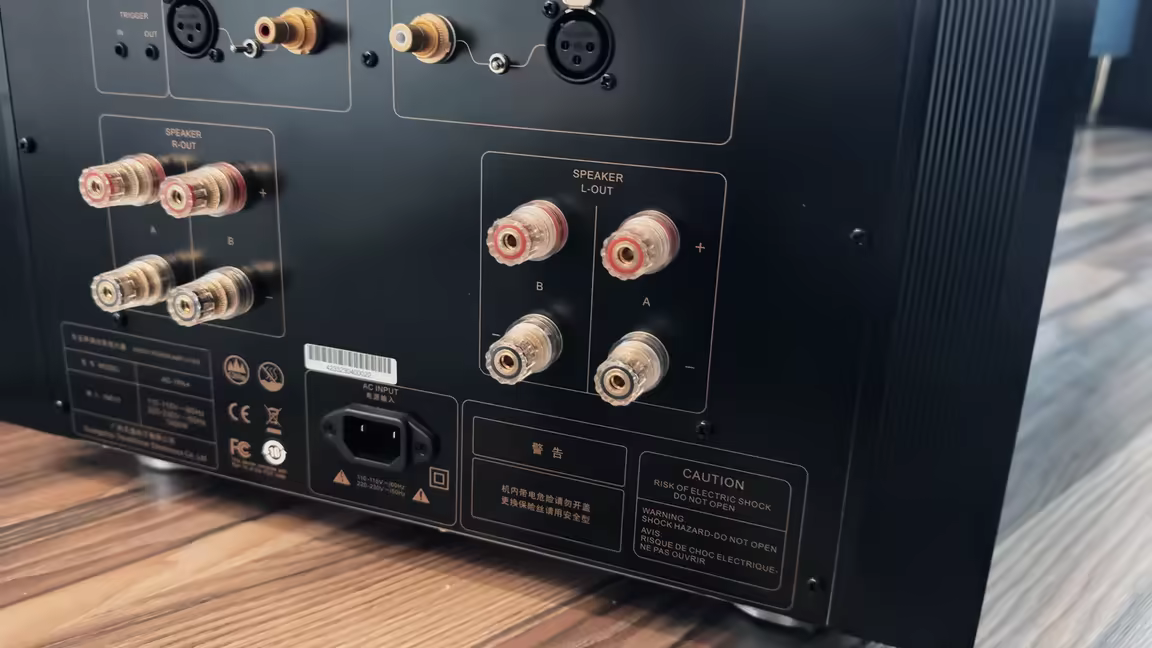 The AD-1PA+'s rear panel: XLR and RCA inputs above dual A/B speaker binding posts per channel and the IEC mains inlet