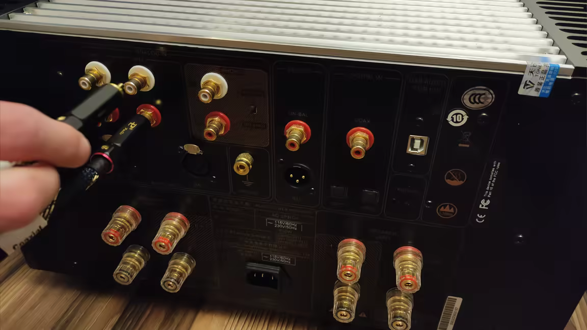 The Tonewinner AD-2PRO+'s densely populated rear: RCA and XLR inputs, MM/MC phono, sub outs, digital inputs, and dual gold speaker binding posts