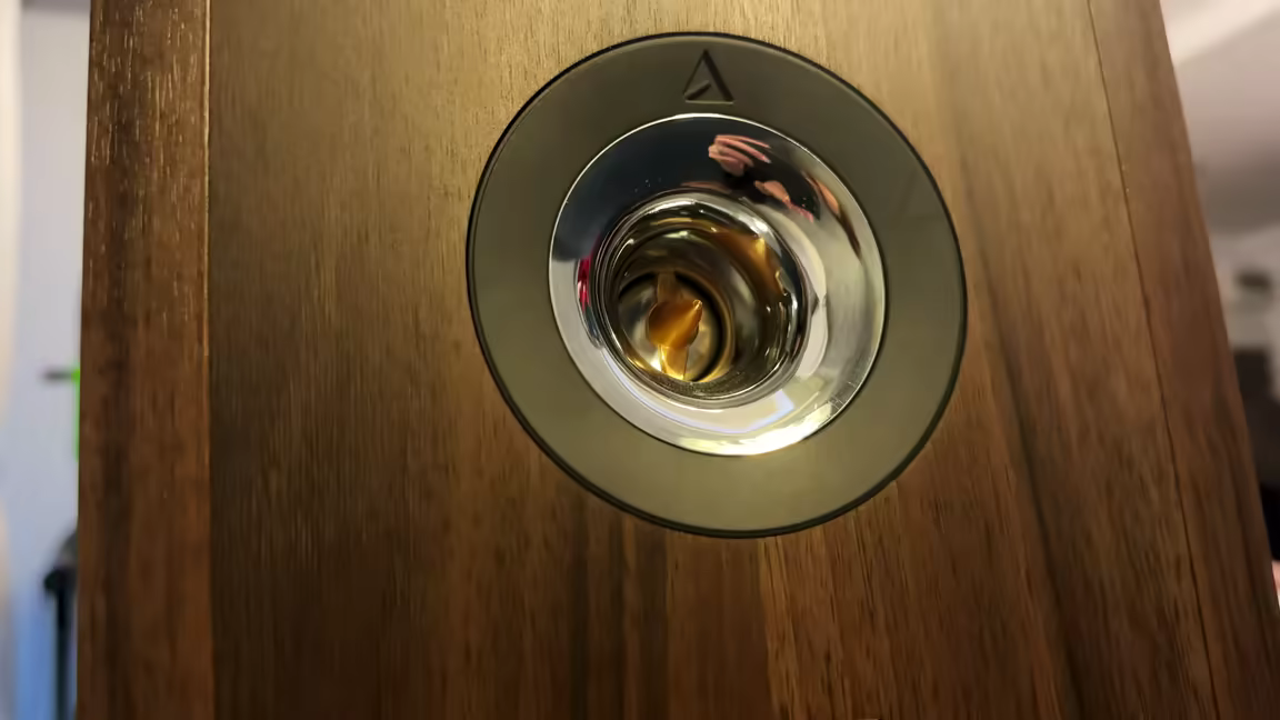 Close-up of the gold horn-loaded TZ2550 tweeter set in its mirror-like chrome waveguide on the chestnut front baffle