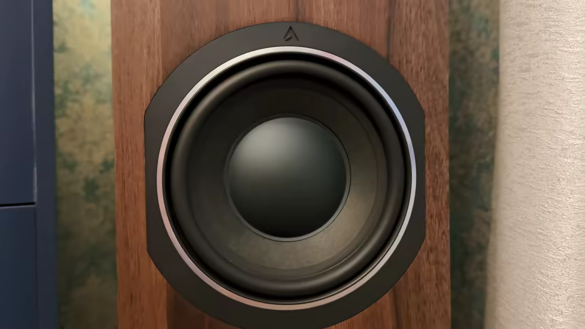 One of the Australe EZ's fiberglass woofers with its side-trimmed mounting ring, set into the chestnut wood-veneer baffle