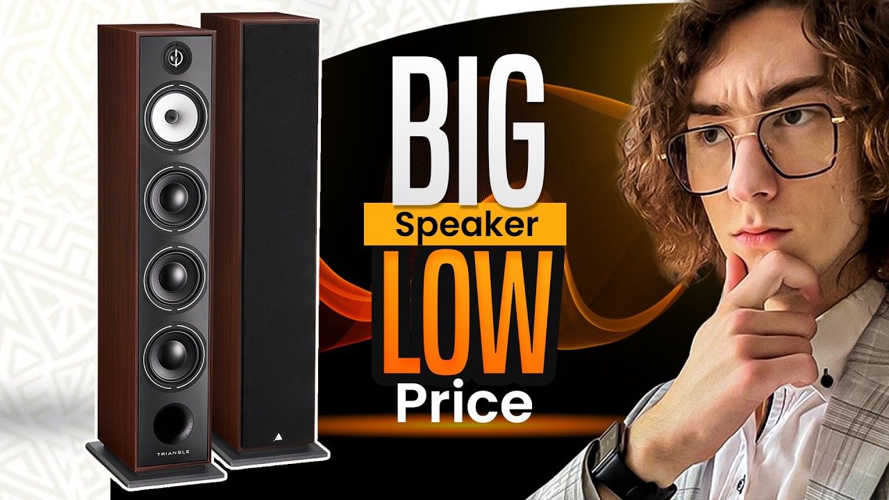 Triangle Borea BR09 floor standing france budget speakers review