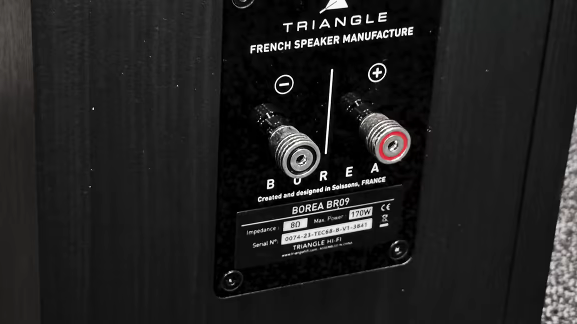 The BR09's single pair of binding posts on a black terminal plate, above the Triangle and Borea BR09 branding and spec label