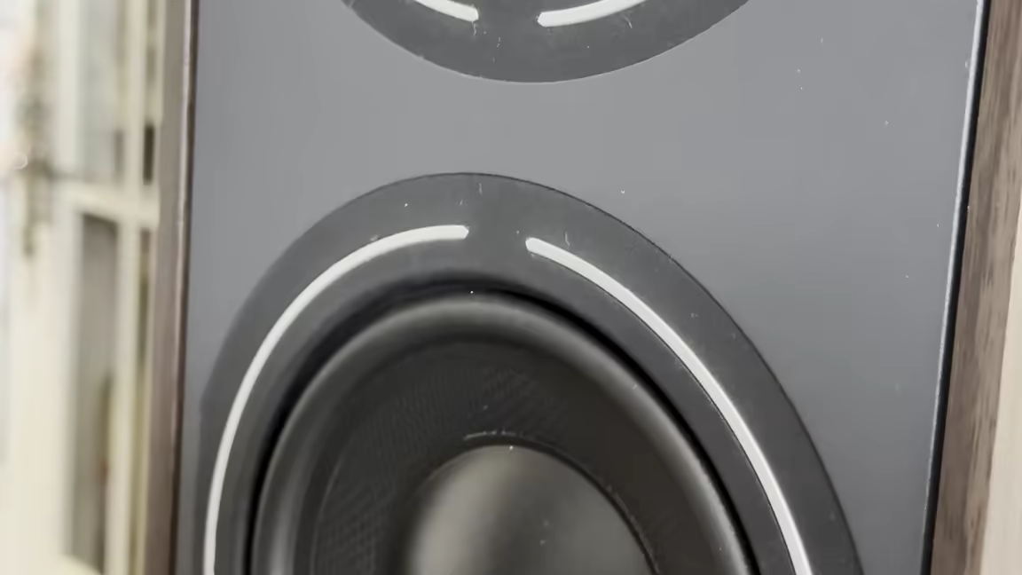 One of the BR09's three 165mm fiberglass bass drivers, its woven cone set into the black baffle